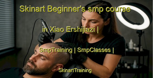 Skinart Beginner's smp course in Xiao Ershijiazi | SmpTraining | SmpClasses | SkinartTraining-China